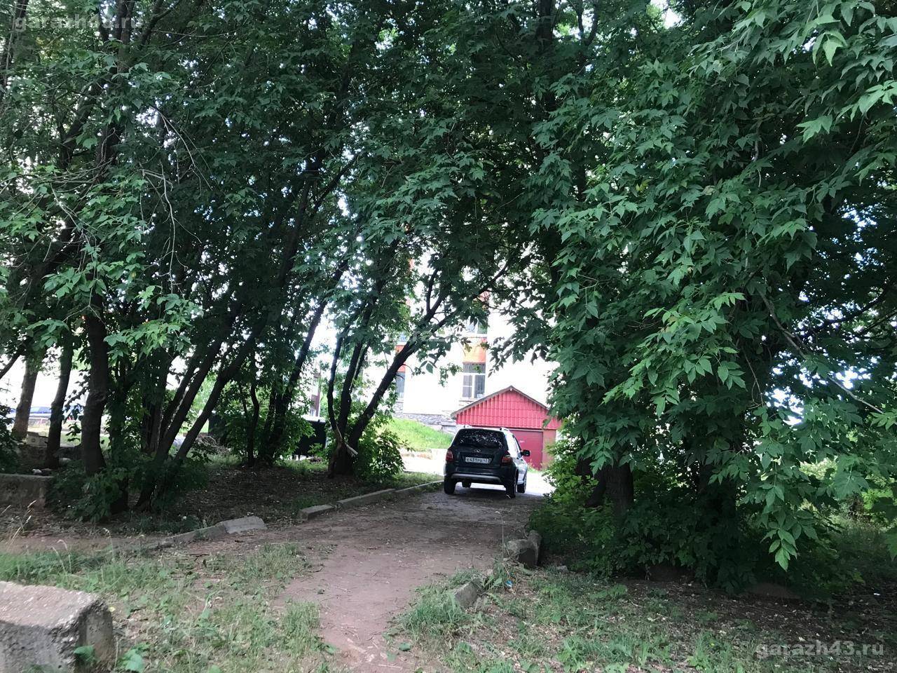 Сурикова 13 Сурикова 13